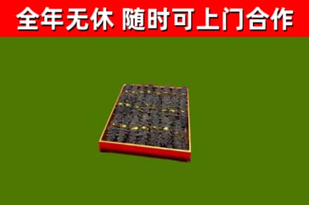 张湾回收海参